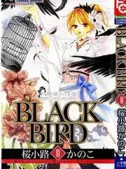 黑鸟恋人(BLACK BIRD)漫画