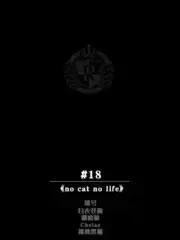 no cat no life海报