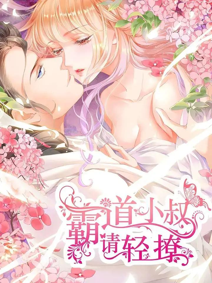 霸道小叔，请轻撩海报