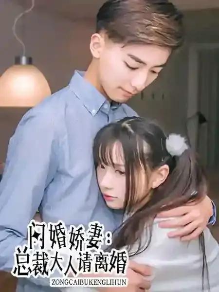 闪婚娇妻总裁大人请离婚全文阅读海报