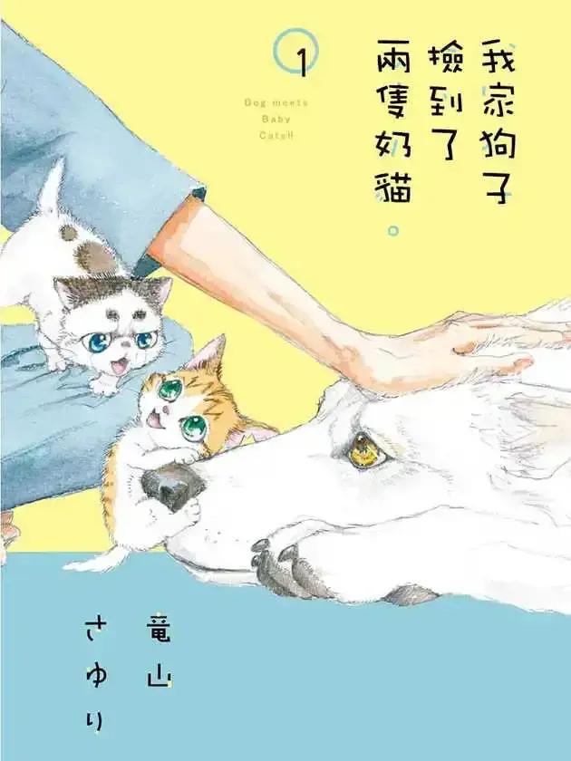 我家狗子捡到了两只奶猫漫画