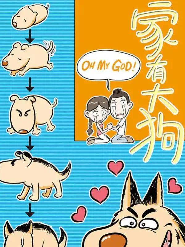 家有大狗漫画