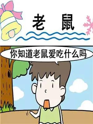 老鼠漫画